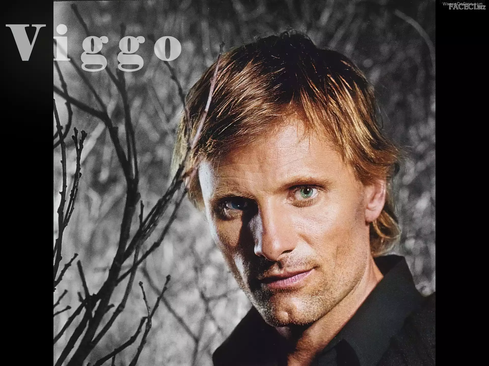 Viggo Mortensen, niebieskie oczy